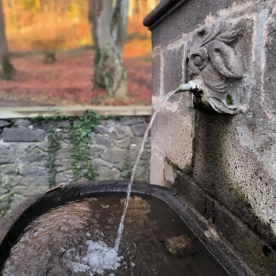 Vakantiehuis Gites Le Vieux Vinzelles Volvic